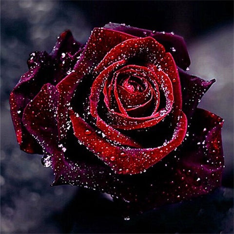 Diamond Painting Red Rose - OLOEE