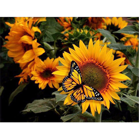 Diamond Painting Sunflower & Butterfly - OLOEE