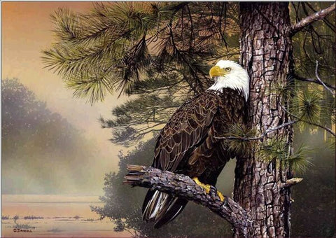 Diamond Painting Eagle On Tree - OLOEE