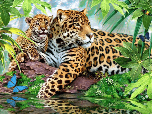 5D Diy Diamond Art Painting Jungle Leopard Diamond Painting Kits