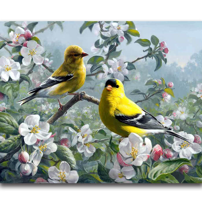 Bird Coasters, 5D Diamond Painting Kits