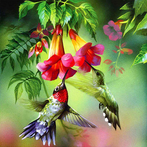 Diamond Painting Hummingbird - OLOEE