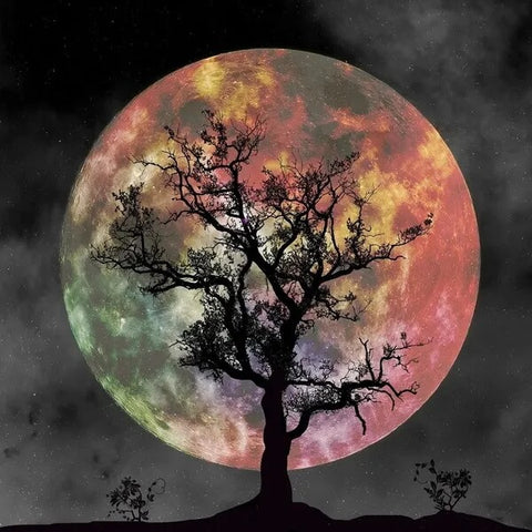 Full Moon Silhouette Tree