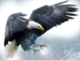 Diamond Painting Hunter Eagle On Winter - OLOEE