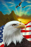 Diamond Painting Flying American Eagle - OLOEE