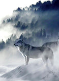 Diamond Painting White Wolf On Mountain - OLOEE