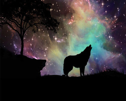 Diamond Painting Wolf Under Starry Night - OLOEE