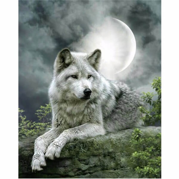Diamond Painting White Wolf Under Moon - OLOEE