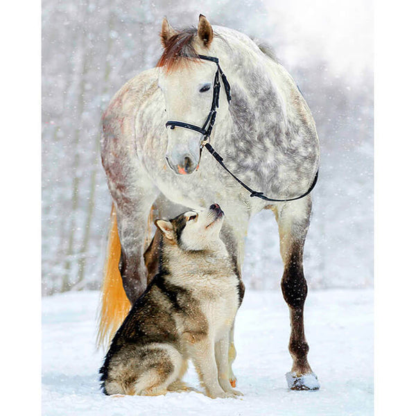 Diamond Painting Horse and Dog - OLOEE