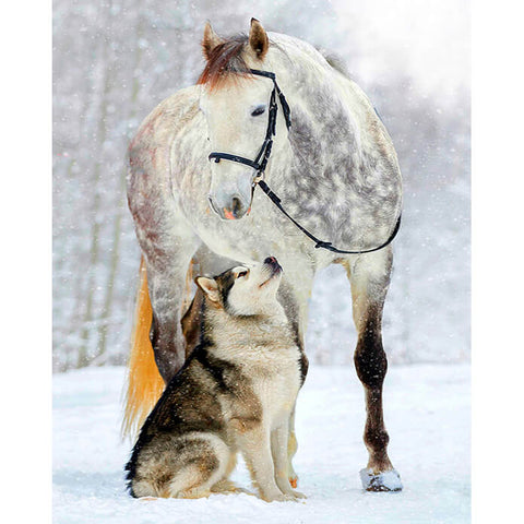 Diamond Painting Horse and Dog - OLOEE
