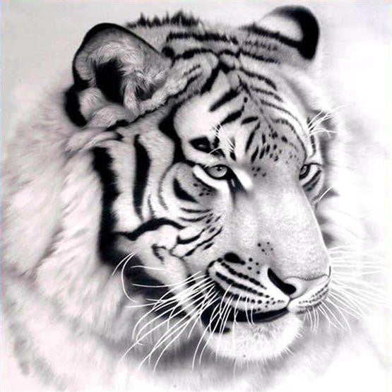 Diamond Painting Tiger Pictures Of Rhinestones - OLOEE