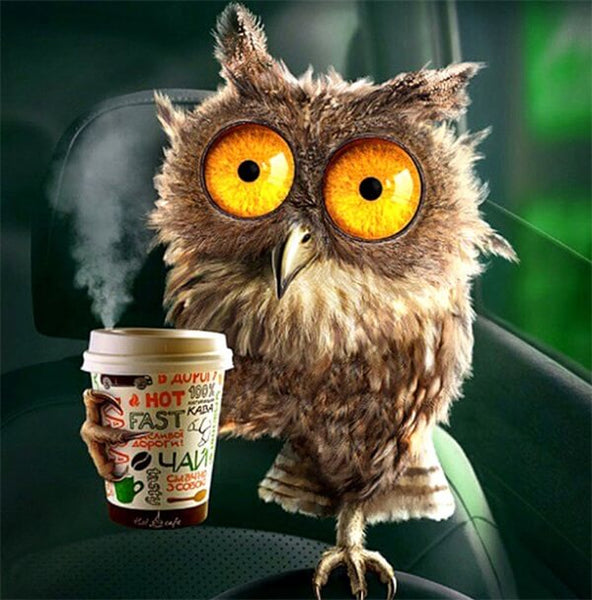Diamond Painting Coffee Owl - OLOEE