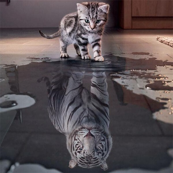 Diamond Painting Cat Tiger Reflection - OLOEE