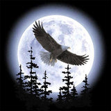 Diamond Painting Moonlit Quest Eagle - OLOEE