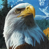 Diamond Painting The Bald Eagle - OLOEE