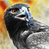 Diamond Painting The Black Eagle - OLOEE