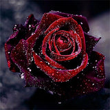 Diamond Painting Red Rose - OLOEE