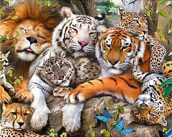 Diamond Painting The Cat Family - OLOEE