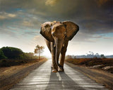 Diamond Painting Elephant On A Journey - OLOEE