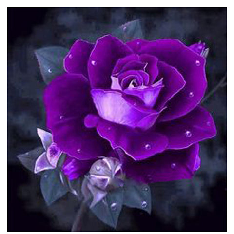 Diamond Painting Purple Rose Flower - OLOEE