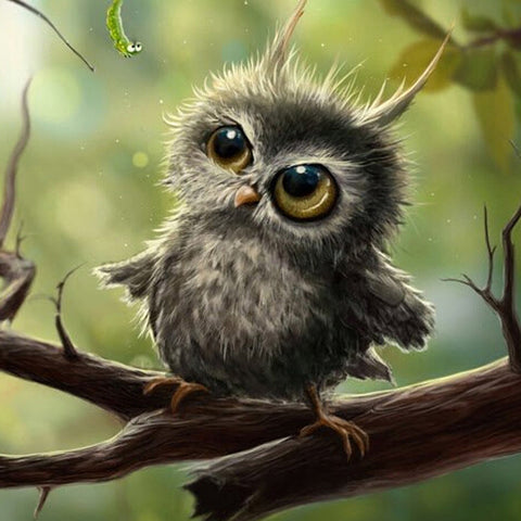 Diamond Painting Cute Baby Owl - OLOEE