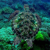 Diamond Painting Swimming Turtle - OLOEE