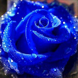 Diamond Painting Glistening Blue Rose - OLOEE