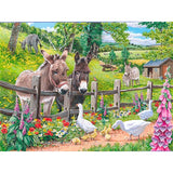 Diamond Painting Donkey Goose Farm - OLOEE