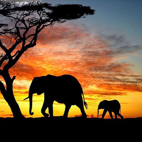 Diamond Painting Sunset Elephant Animal - OLOEE