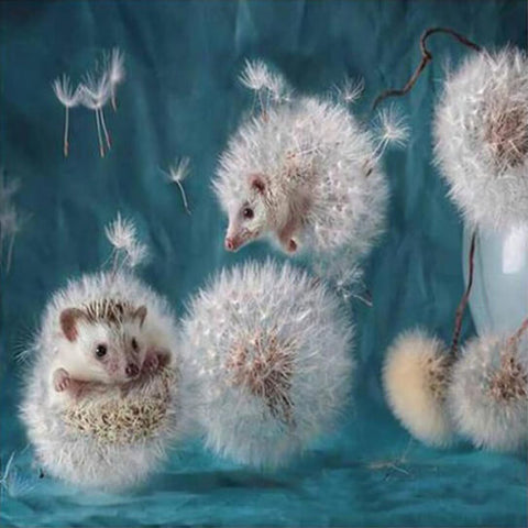 Diamond Painting Dandelion Hedgehog - OLOEE