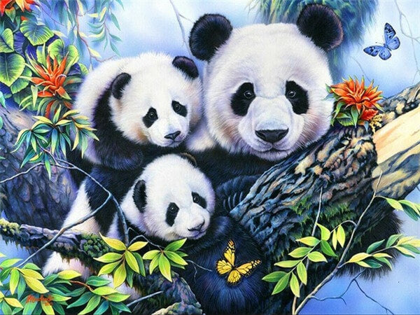 Happy Panda Family