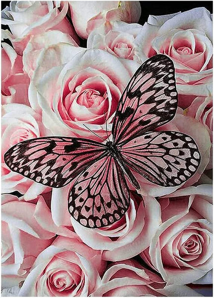 A Pink Rose Butterfly