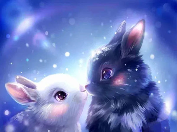 Black and White Rabbit