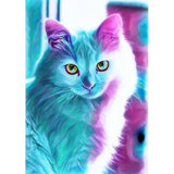 Blue Pink Cat