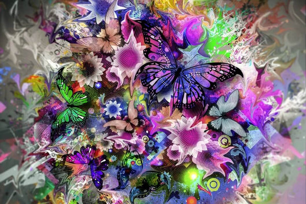 Butterfly Explosion