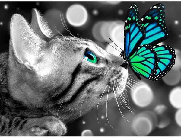 Cat and Green Butterfly