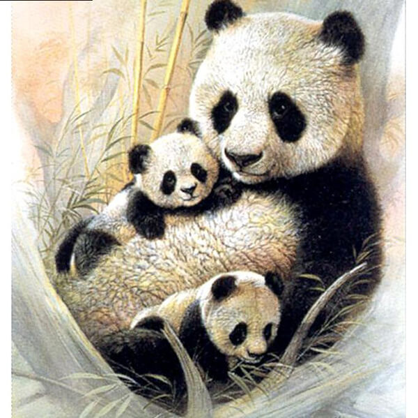 Panda Mother and Cubs