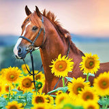 Horse in Sunflower