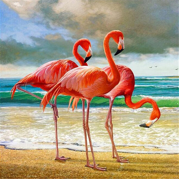 Flamingos On The Beach