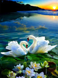 Sunset Swan Couple