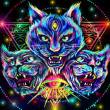 Psychedelic Angry Cats