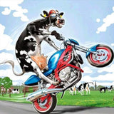 Cow On Motorcycle
