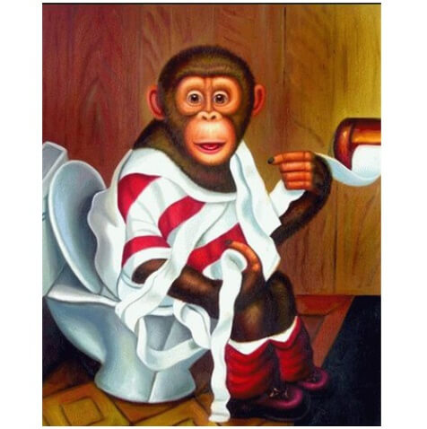 Toilet Monkey