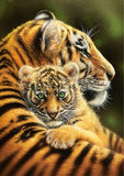 Tiger Mother's Love