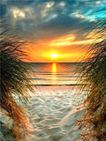 Sunset Beach Scenery