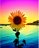 Sunflower in Colorful World