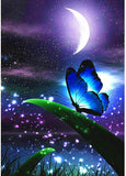 Blue Butterfly Night