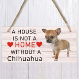 A House Is Not A Home Without A Chihuahua