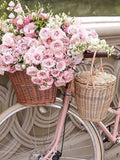 Vintage Bikes & Flowers