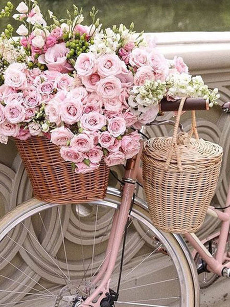 Vintage Bikes & Flowers